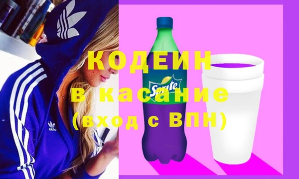 индика Бородино