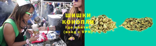 spice Аркадак