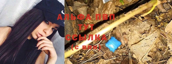 COCAINE Покачи