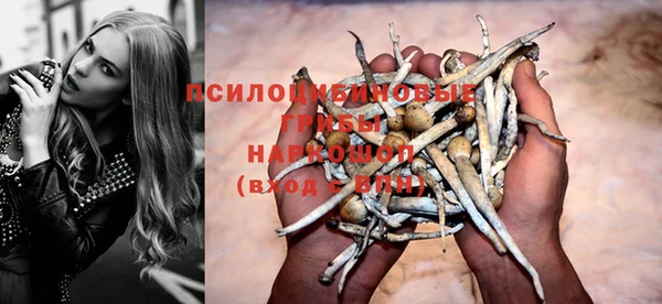 spice Аркадак
