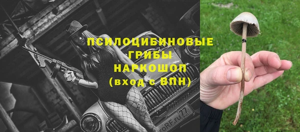 гидропоника Арсеньев