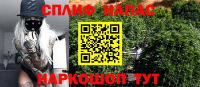 ешки Нарткала