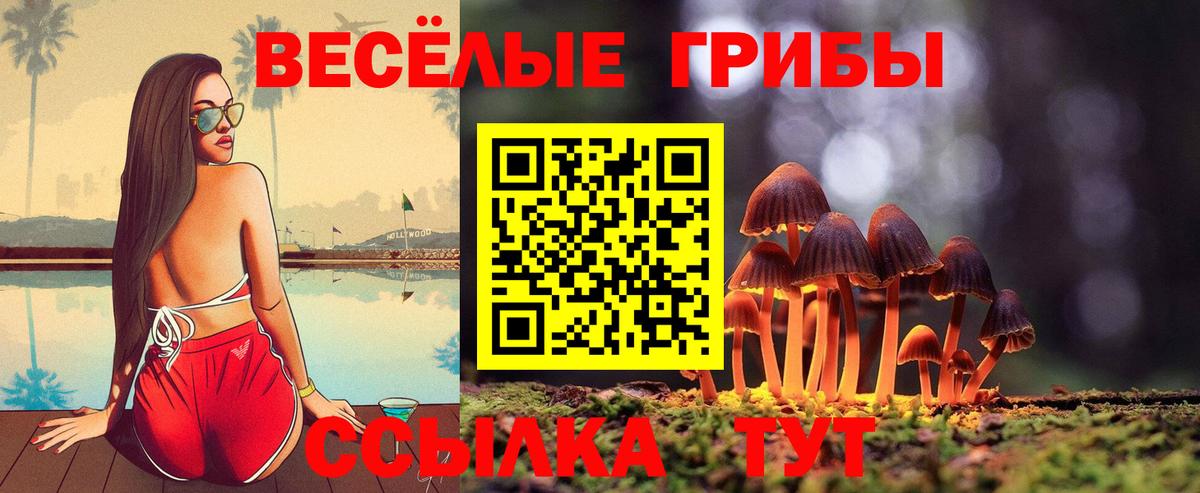 Псилоцибиновые грибы Psilocybine cubensis  Вход с VPN  Семилуки 